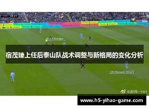 宿茂臻上任后泰山队战术调整与新格局的变化分析