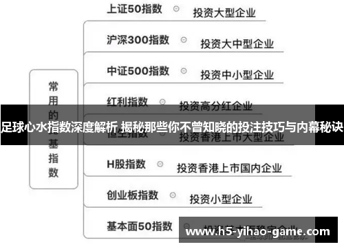足球心水指数深度解析 揭秘那些你不曾知晓的投注技巧与内幕秘诀