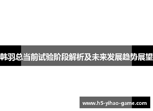韩羽总当前试验阶段解析及未来发展趋势展望