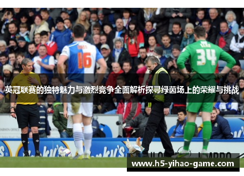 英冠联赛的独特魅力与激烈竞争全面解析探寻绿茵场上的荣耀与挑战 英冠联赛的独特魅力与激烈竞争全面解析探寻绿茵场上的荣耀与挑战